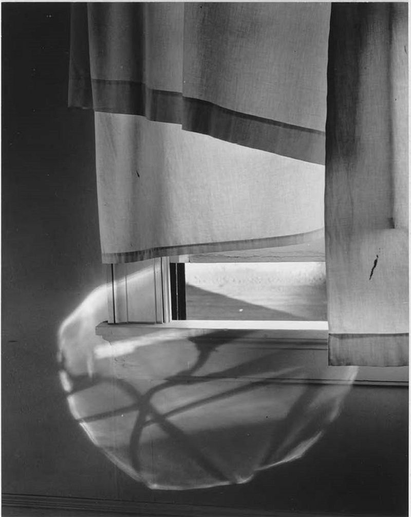 Minor White. Windowsill Daydreaming (72 N. Union Street, Rochester). 1958, printed 1960–1966. The Baltimore Museum of Art: The William G. Baker, Jr. Memorial Fund, and Roger M. Dalsheimer Photograph Acquisitions Endowment, BMA 2012.174.2. Reproduced with permission of the Minor White Archive, Princeton University Art Museum. © Trustees of Princeton University