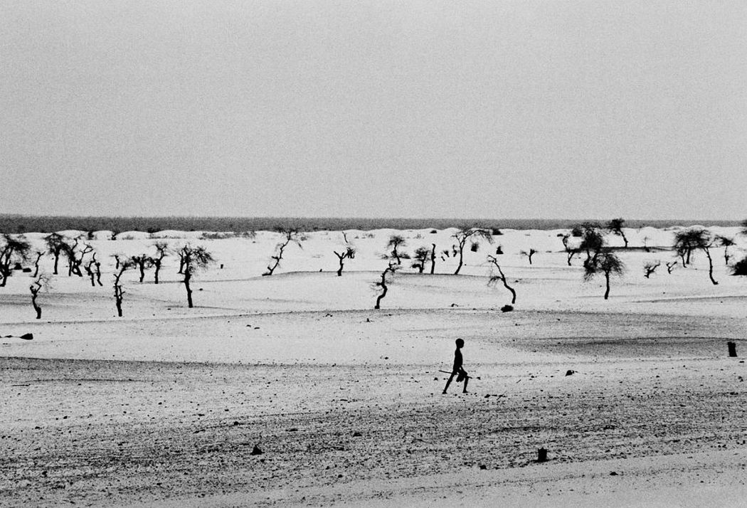 This used to be the large Lake Faguibine. It dried up little by little with the drought and invasion of the desert. All the men have gone, only the children, the elderly and women remain, Mali 1985