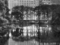Jeff Chien-Hsing Liao: Central Park New York: 24 Solar Terms