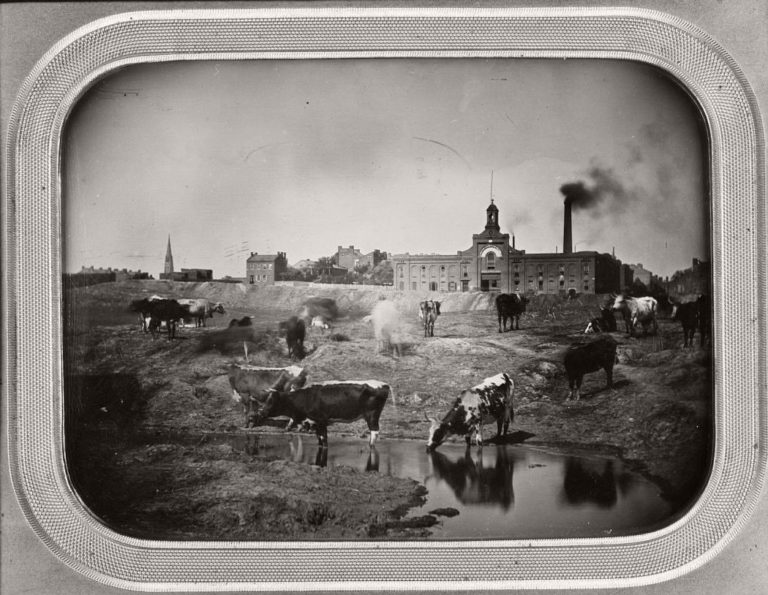 Vintage: Daguerreotypes of St Louis from 1848 70 by Thomas Easterly