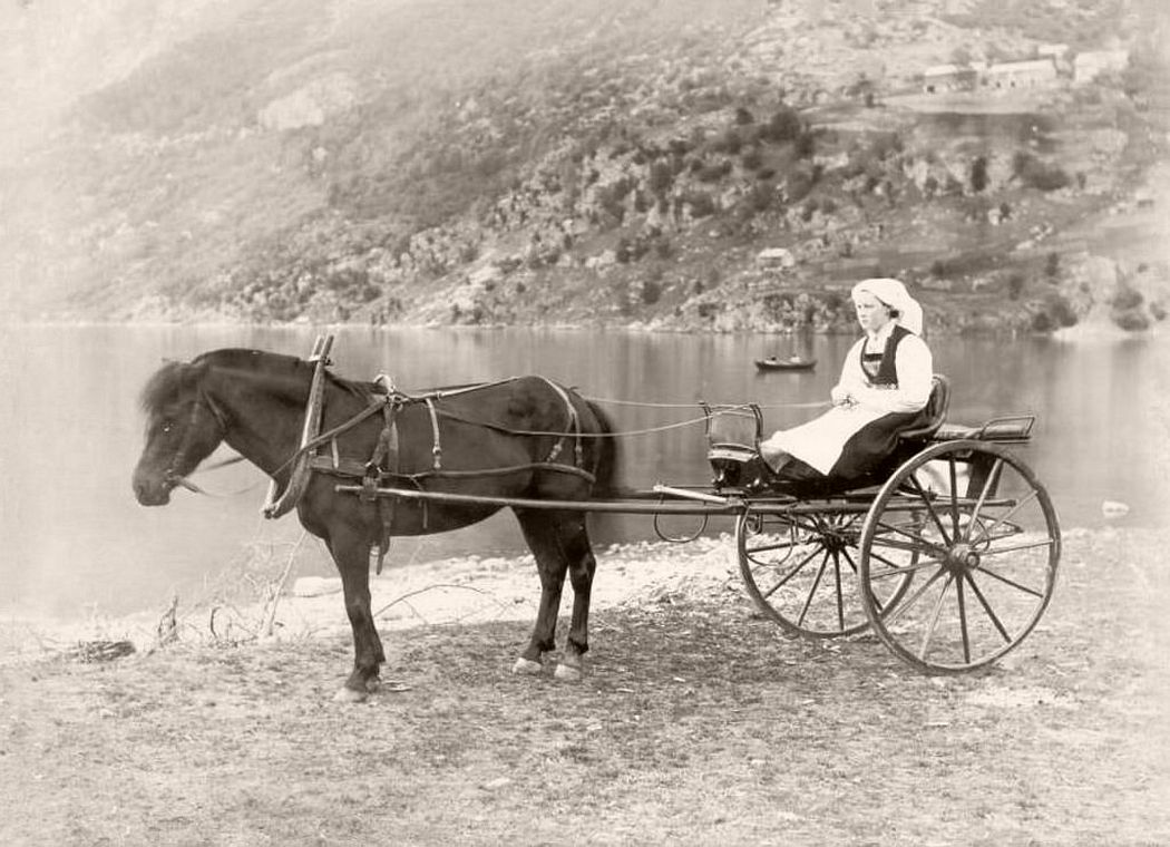 Woman on a horse-drawn carriage in the Hardangerfjord
