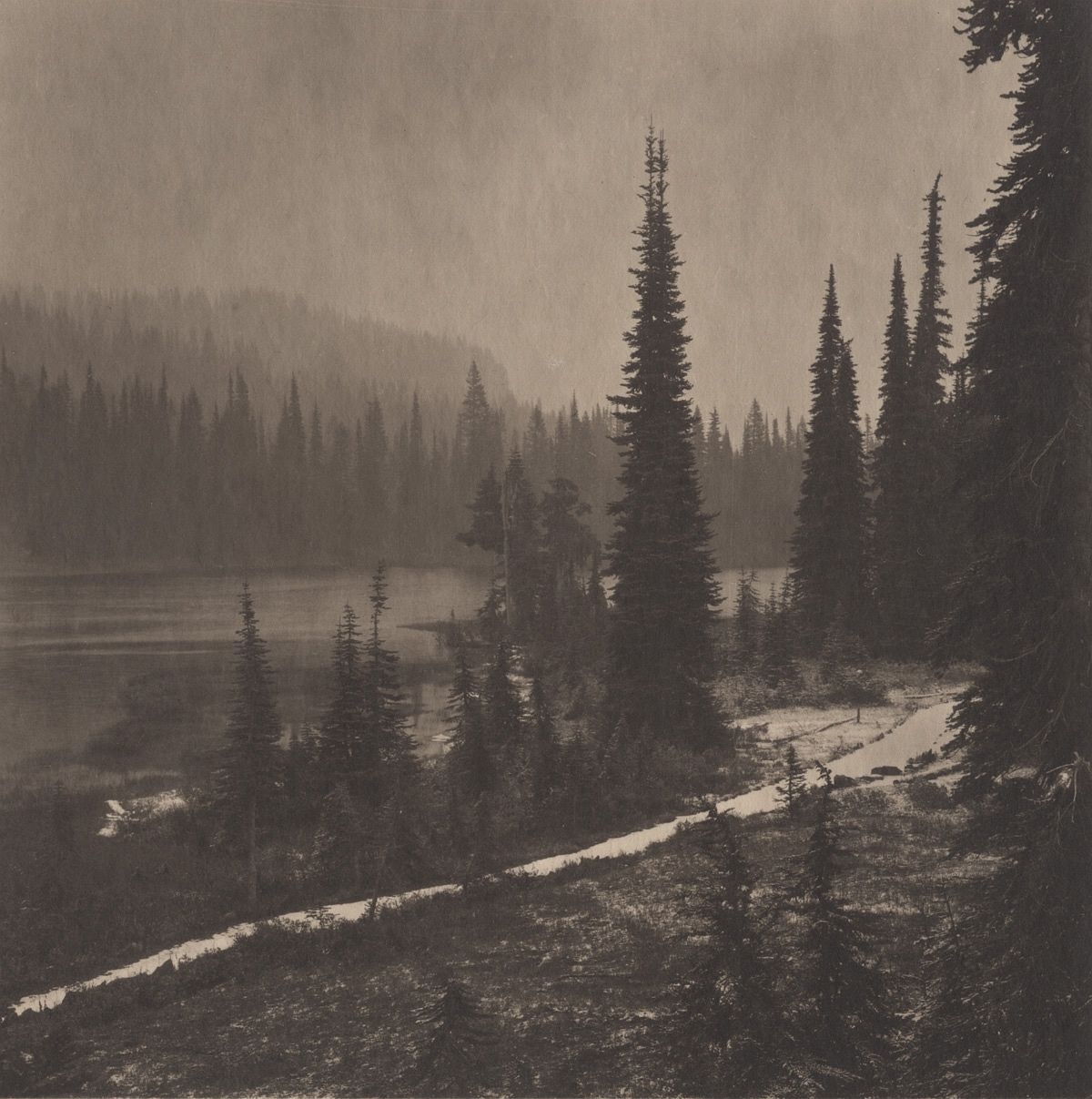 Pacific Northwest: Mt. Rainer #2, 2011/2012 from Silent Respiration of Forests - Pacific Northwest