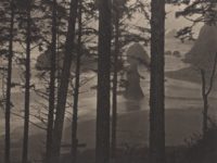 Takeshi Shikama: Silent Respiration of Forests