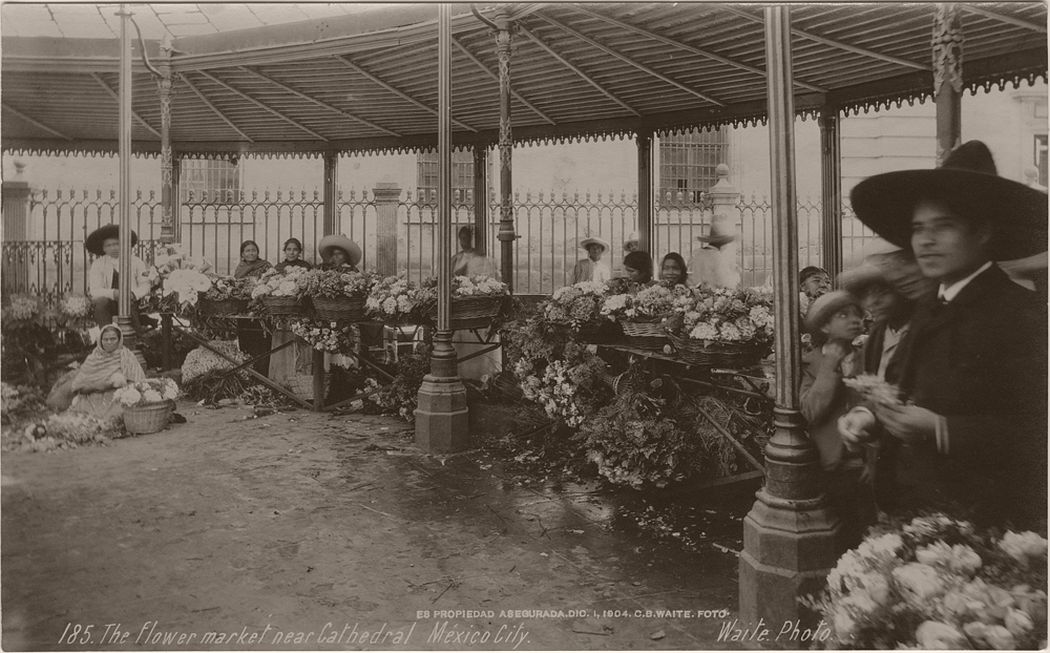 The flower market near Cathedral, Mexico City, 1904