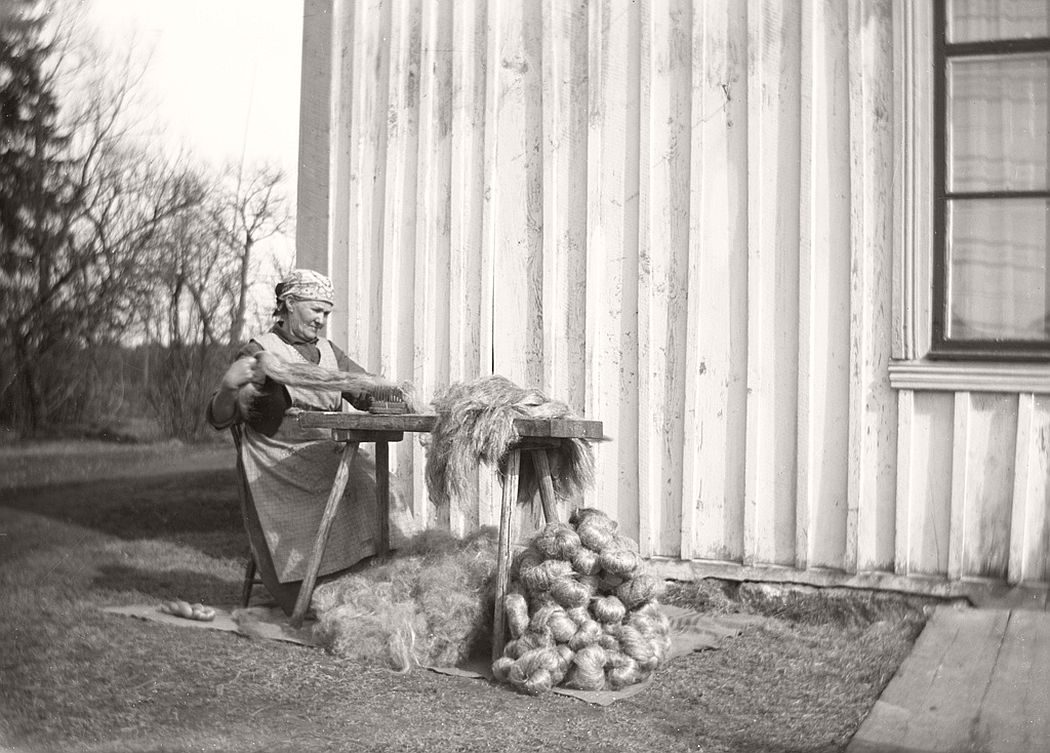 Hilma Gustafsson heckle flax at the cabin end. She represents one of favorite environments. From there are many lovingly and painstakingly rendered images that describes key elements of the work on a farm like that a hundred years ago.