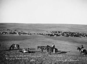 Vintage: Canadian Cowboys (late 19th to early 20th Centuries ...