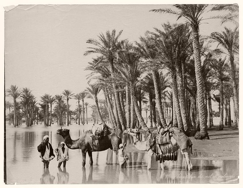 People with their camels on the Nile