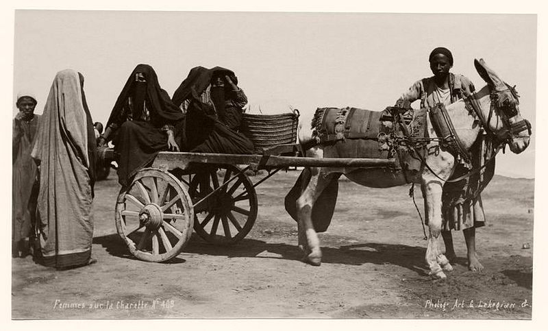 Women with their donkey cart