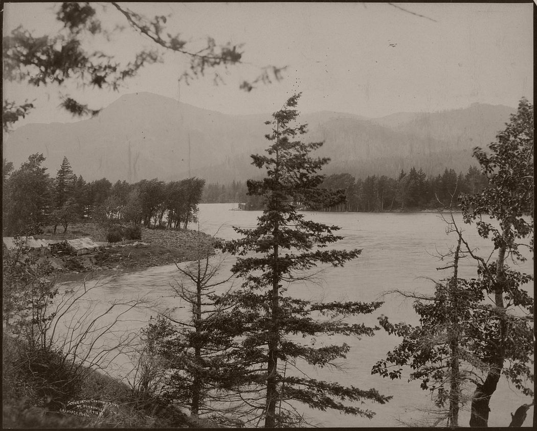 Scene on the Columbia River, 1860 - 1879.