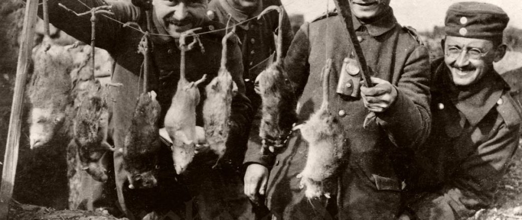 ww1 trenches rats