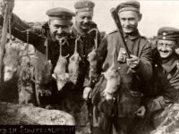 Vintage: Trench Rats Killed by Terriers During World War I