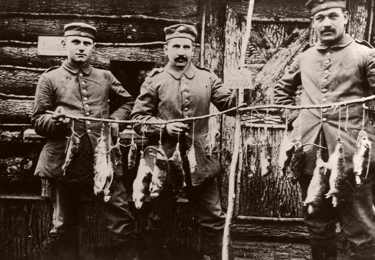 Three German soldiers display rats killed in their trench the previous night. 1916.