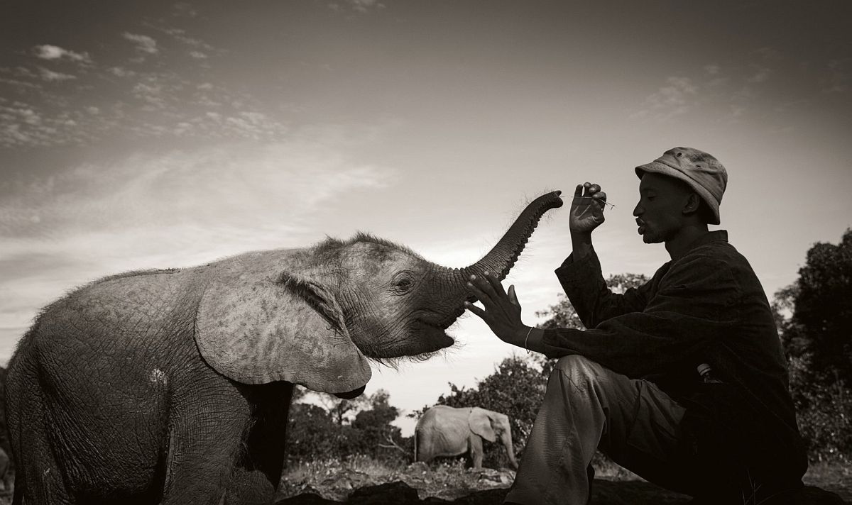 © Elephants in Heaven by Joachim Schmeisser, published by teNeues, www.teneues.com, Tiny baby with its keeper at the nursery, Nairobi National Park 2013, Photo © 2017 Joachim Schmeisser