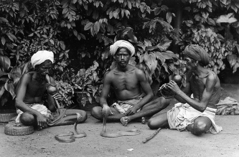 Vintage: Everyday Life of Ceylon (Sri Lanka) in the 1880s | MONOVISIONS ...