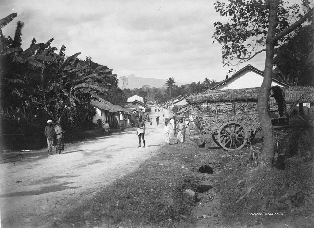 Vintage: Everyday Life of Ceylon (Sri Lanka) in the 1880s | MONOVISIONS
