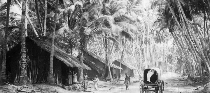 Vintage: Everyday Life of Ceylon (Sri Lanka) in the 1880s