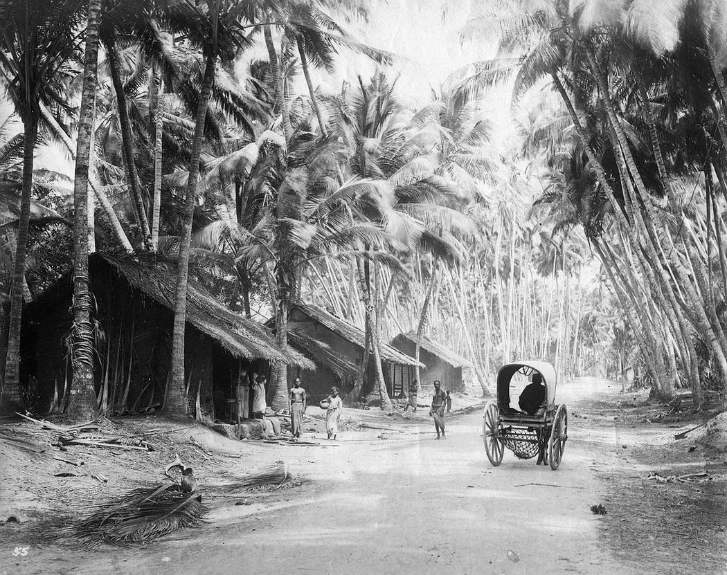 Country road, Colombo, Ceylon, ca. 1880s