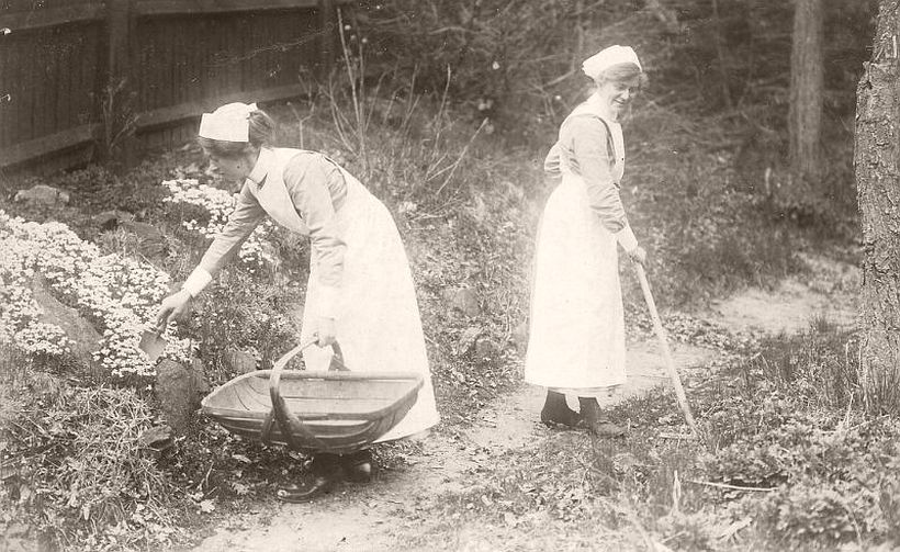 Nurses gardening