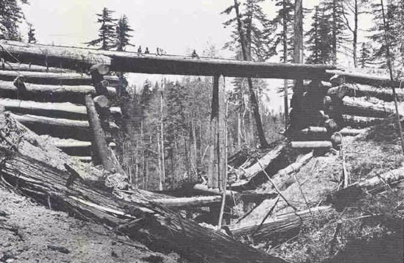 A home-made log bridge. The men sitting atop it give an idea of its height, and the diameter of the redwood logs used for construction.