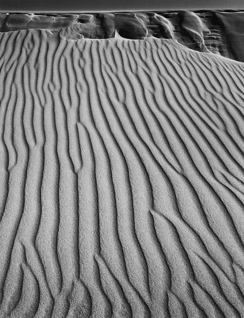 Ansel Adams. Sand Dunes, Oceano, California, 1950 