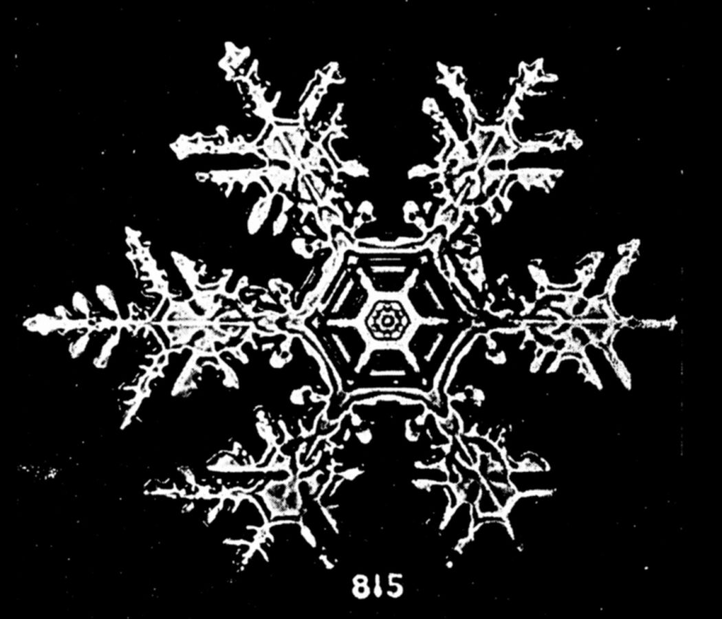 Snowflakes - Wilson Bentley