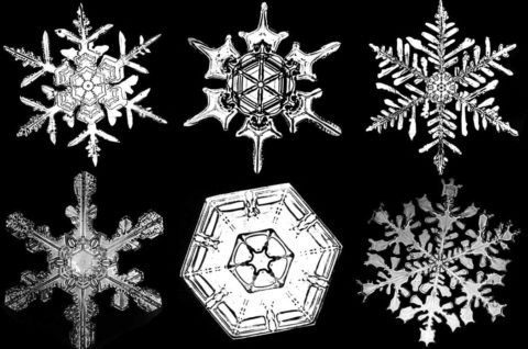 Biography: 19th Century photographer of Snowflakes – Wilson Bentley