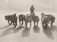 Vintage: First Australasian Antarctic Expedition (1911-1914)