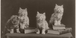 Vintage: The Globe Kittens (1902)