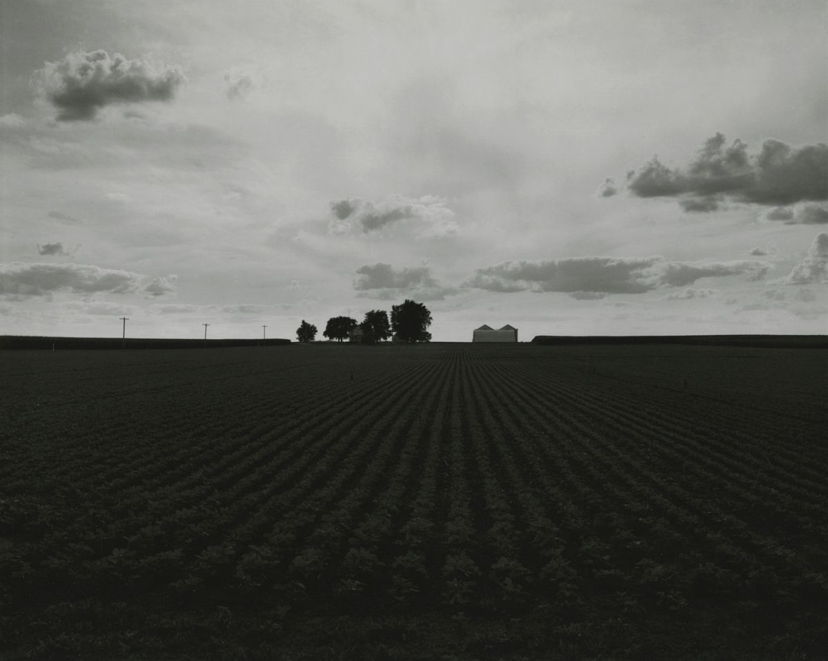 Untitled, from Farm Landscapes, 2009