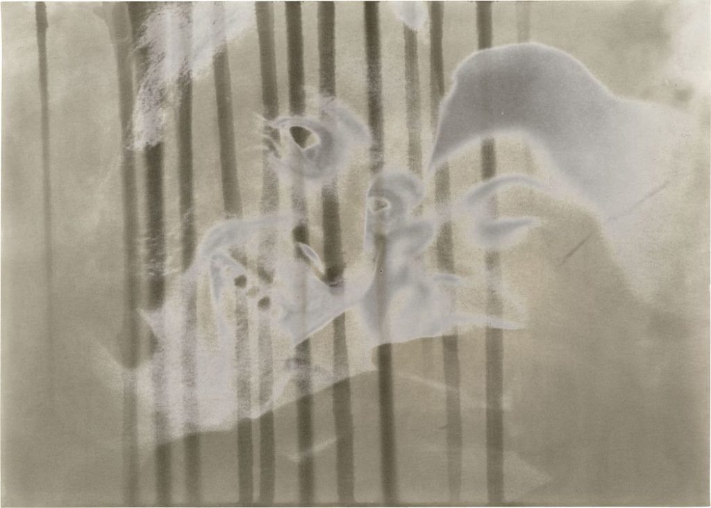 Sigmar Polke and the 1970s | MONOVISIONS - Black & White Photography ...