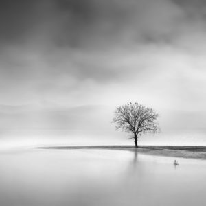 George Digalakis: Silent Waters | MONOVISIONS - Black & White ...
