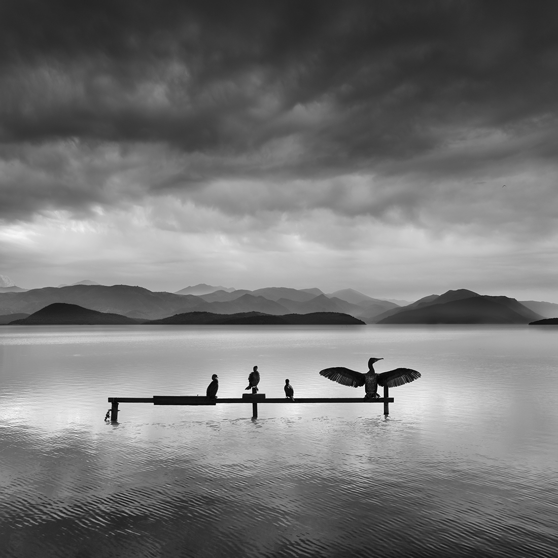 George Digalakis Silent Waters Monovisions Black And White 
