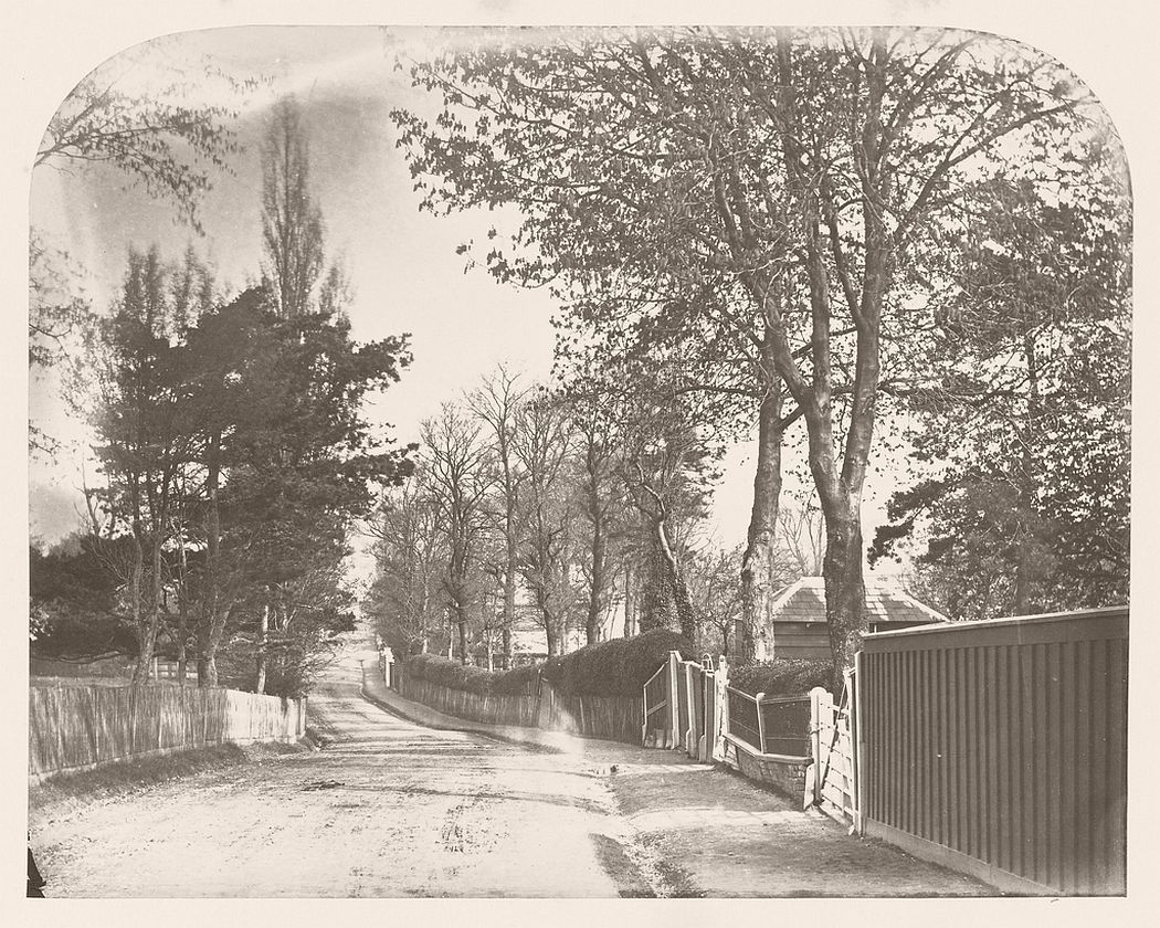 A photograph by George Shadbolt, entitled Country Lane, likely to have been taken in the area of Hornsey, North London.