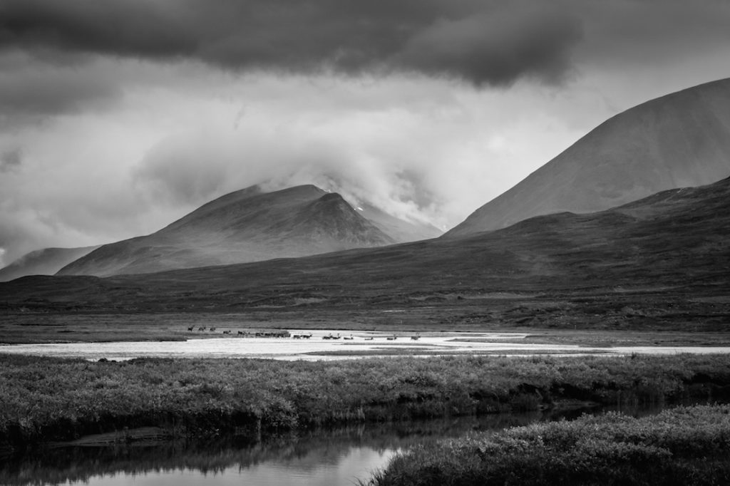 Levi Mendes: Swedish Mountains | MONOVISIONS - Black & White ...