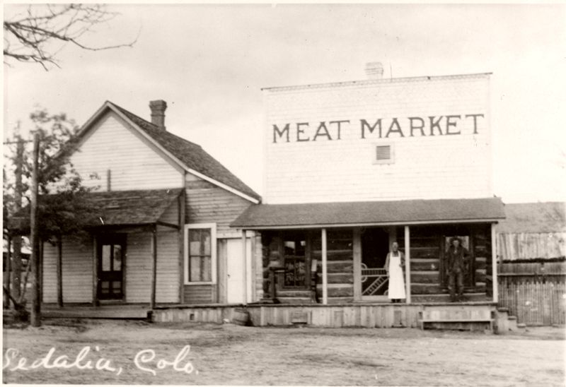 Meat market, Sedalia, Colorado, 1895
