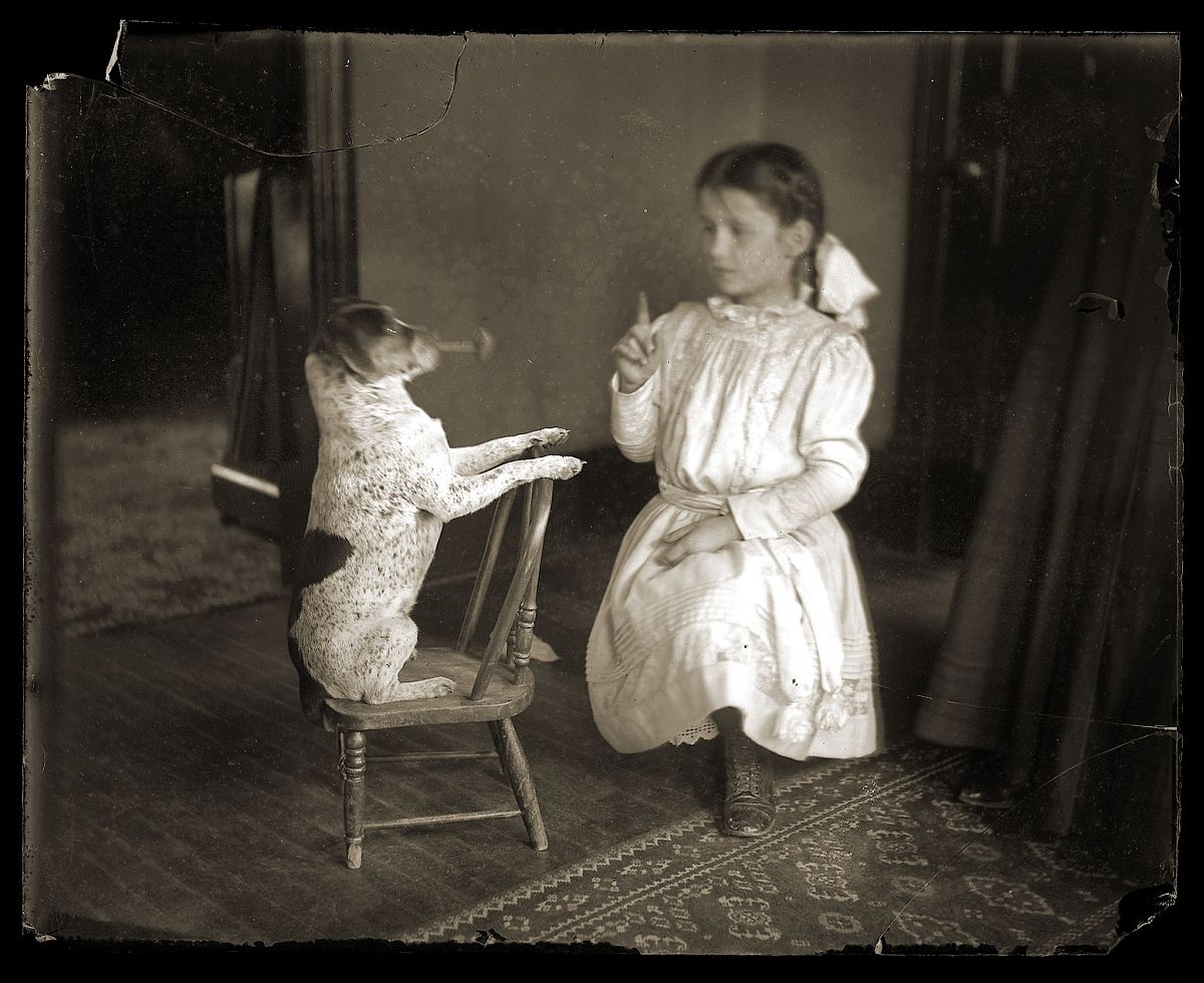 A girl playing with a dog