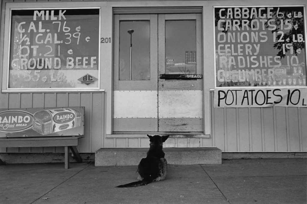 Lee Friedlander: Signs | MONOVISIONS - Black & White Photography Magazine