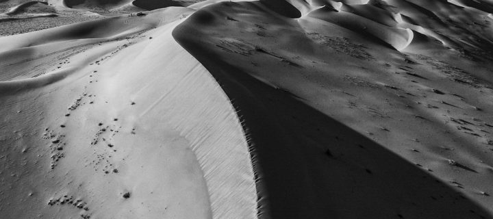 Birgit Neiser: Oman desert