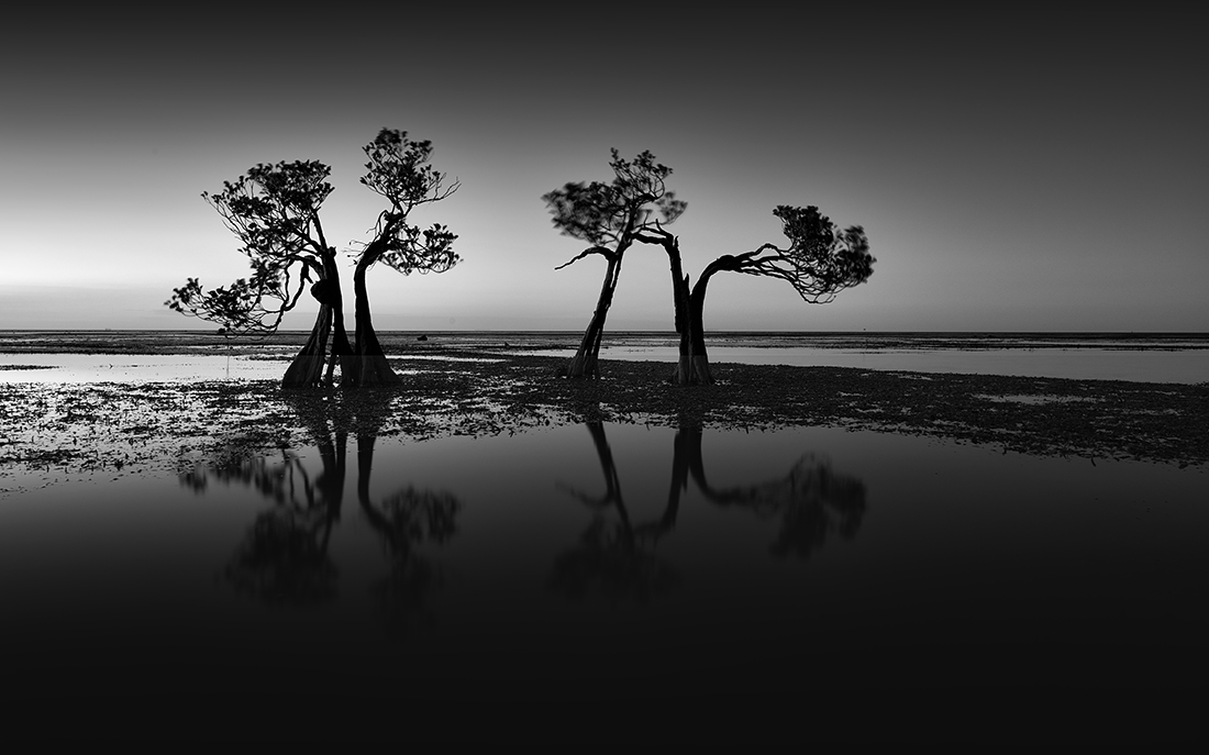 © Swee Sing Vincent Lim: Dancing Trees / MonoVisions Photography Awards 2020 winner