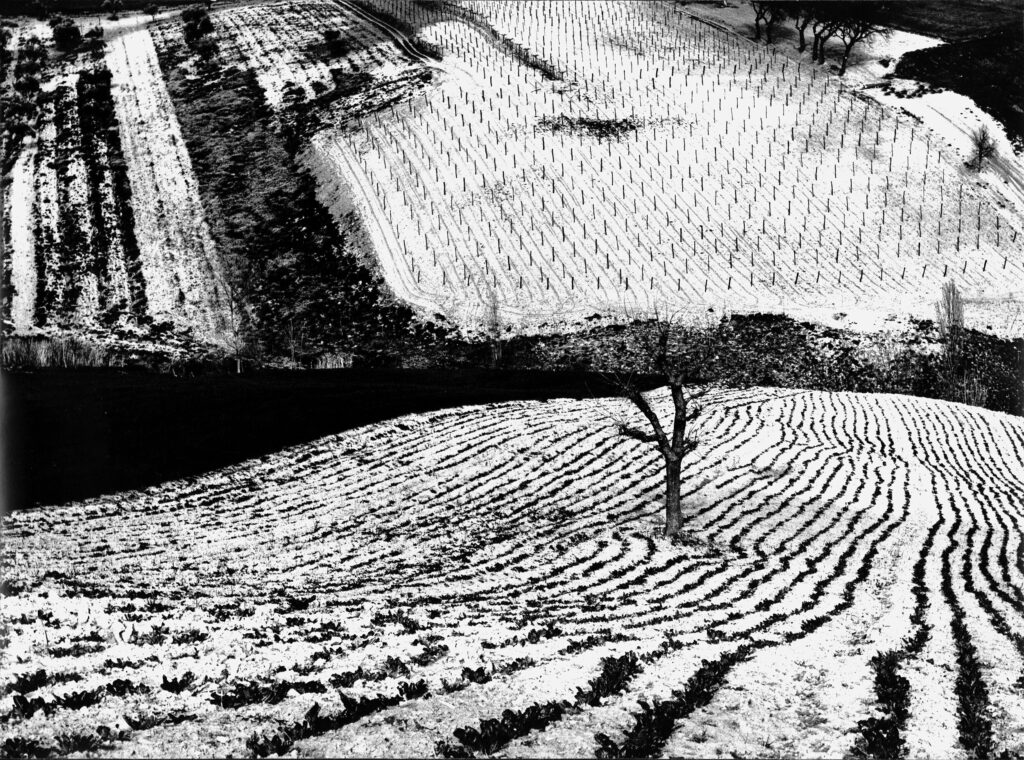 Mario Giacomelli – Figure/Ground | MONOVISIONS - Black & White 