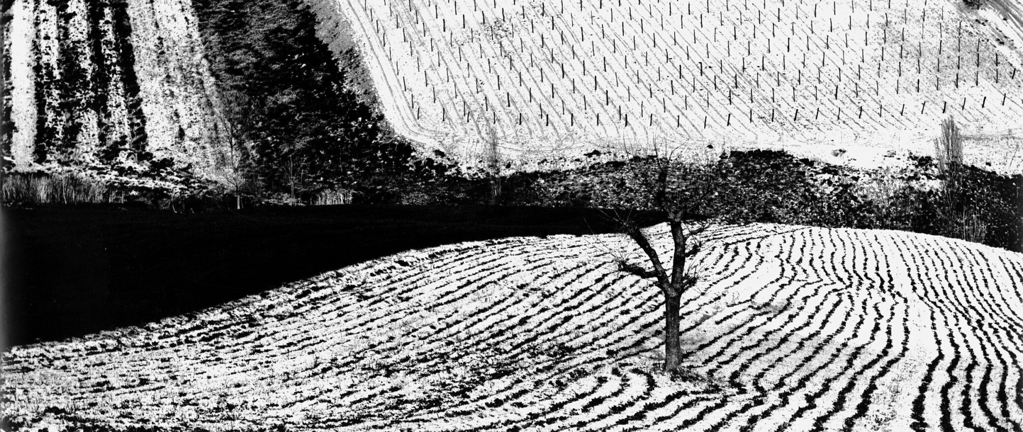 Mario Giacomelli – Figure/Ground | MONOVISIONS - Black & White