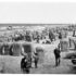 Vintage: Historic B&W photos of Norderney, Germany (1890s)