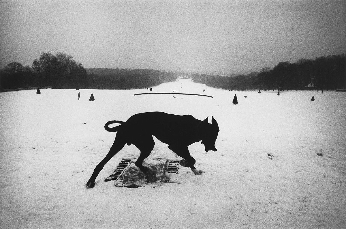 Josef Koudelka, "FRANCE. Hauts-de-Seine Parc de Sceaux", 1987© Josef Koudelka/Magnum Photos, Courtesy of the Josef Koudelka Foundation