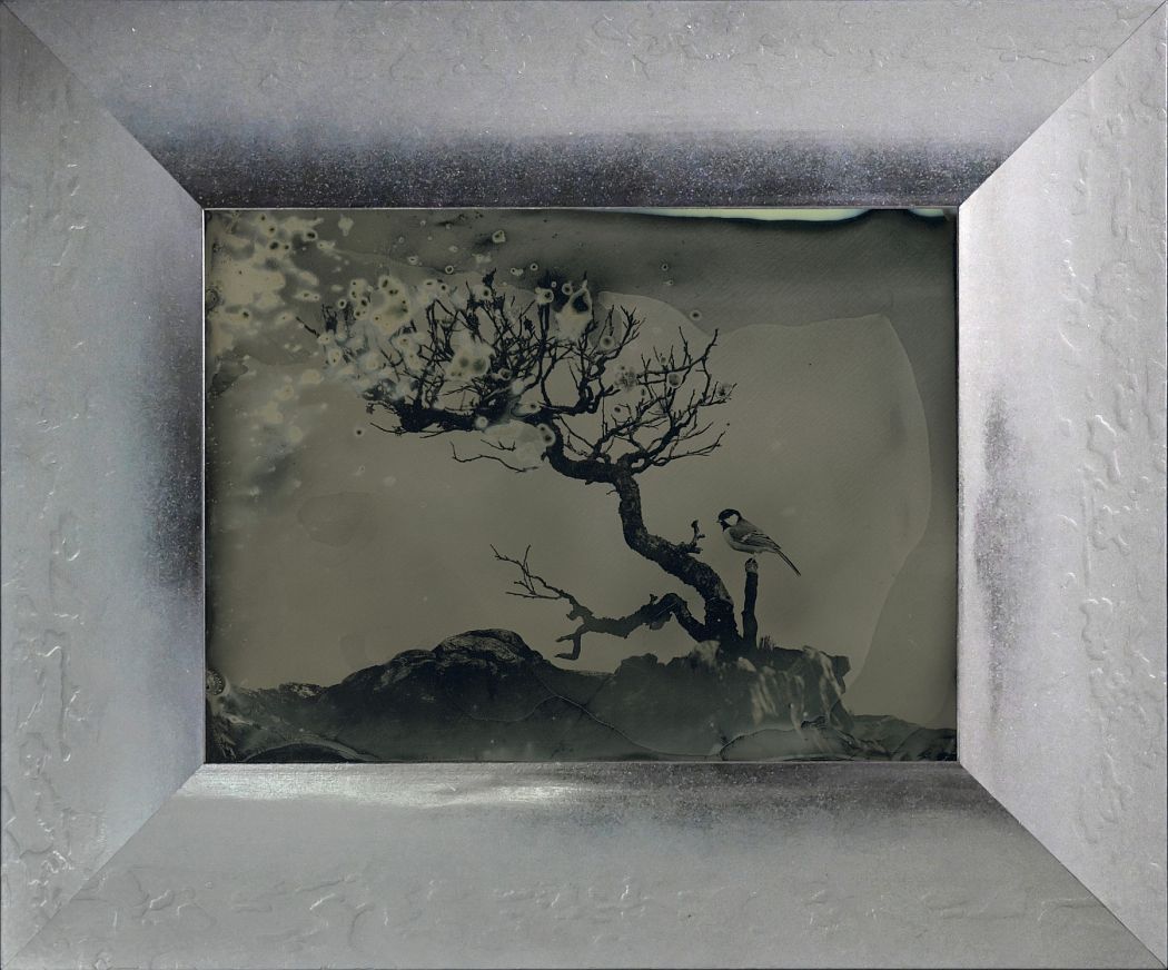 Yamamoto Masao, Untitled (AM #14), 2023. Unique collodion ambrotype, image size: 5 1/8 x 7 inches, frame size: 8 7/8 x 10 11/16 inches.