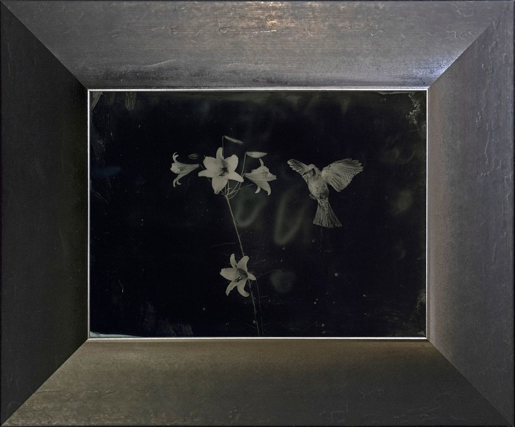 Yamamoto Masao, Untitled (AM #63), 2023. Unique collodion ambrotype, image size: 5 1/8 x 7 inches, frame size: 8 7/8 x 10 11/16 inches.
