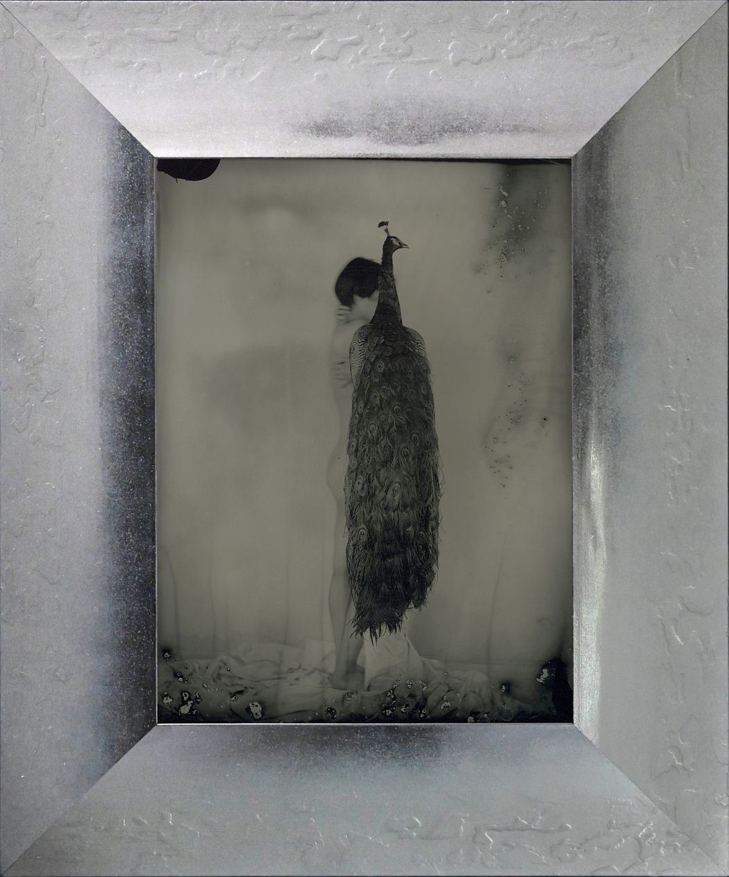 Yamamoto Masao, Untitled (AM #60), 2023. Unique collodion ambrotype, image size: 7 x 5 1/8 inches, frame size: 10 11/16 x 8 7/8 inches.