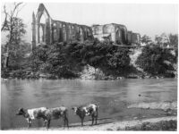 Vintage: Historic B&W photos of Bolton Abbey, England (1890s)