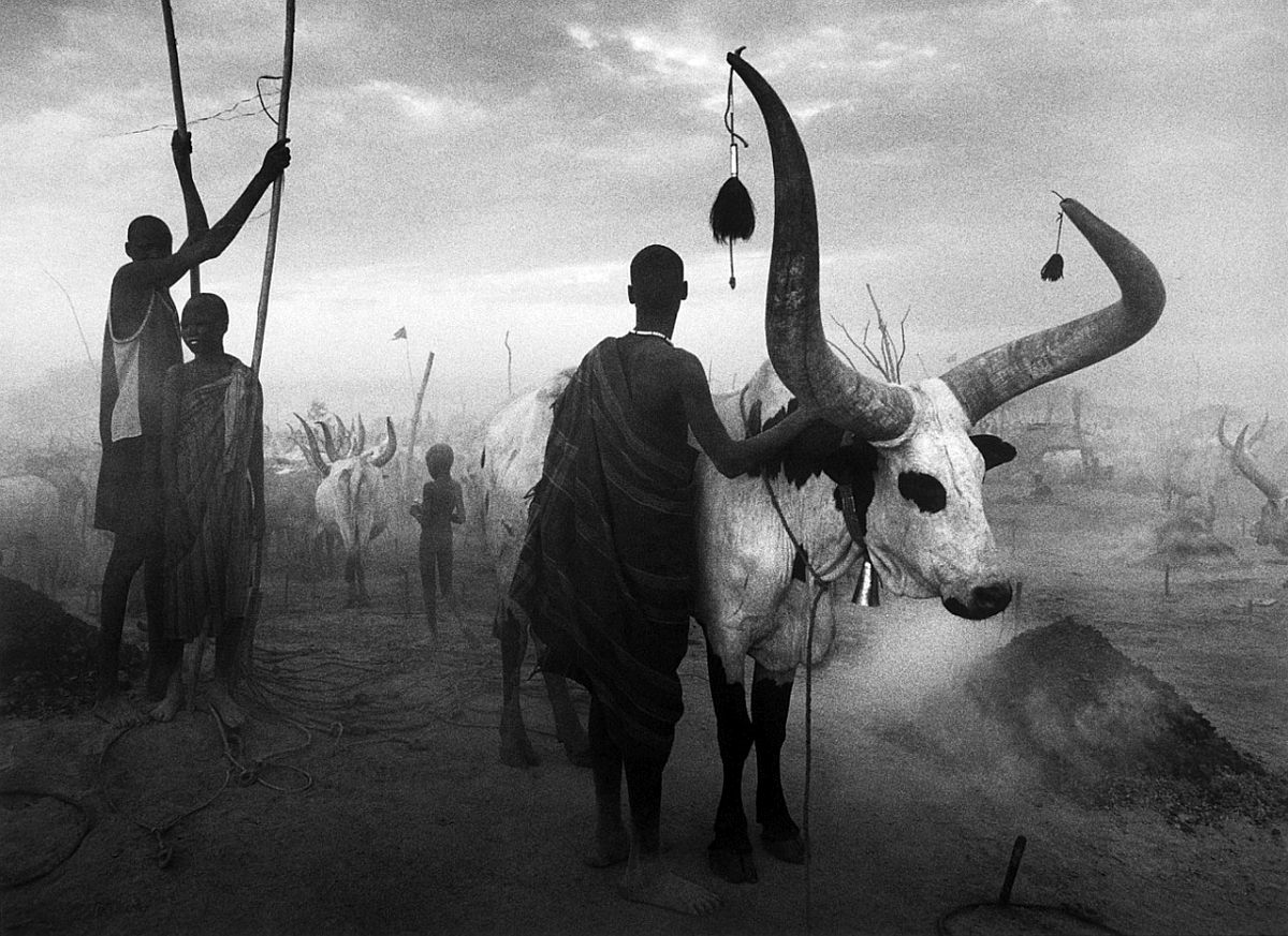 Sebastião Salgado Brazil, b. 1944Dinka group at Pagarau cattle camp, Southern Sudan, Africa, 2006/Printed 2009