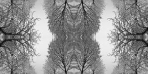 Interview with Maximilian Vermilye