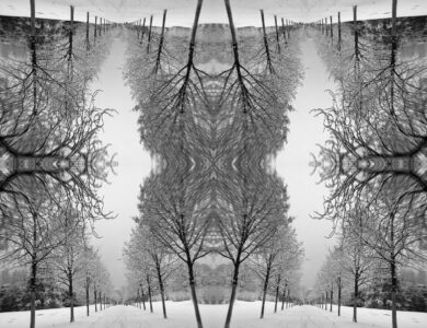 Interview with Maximilian Vermilye